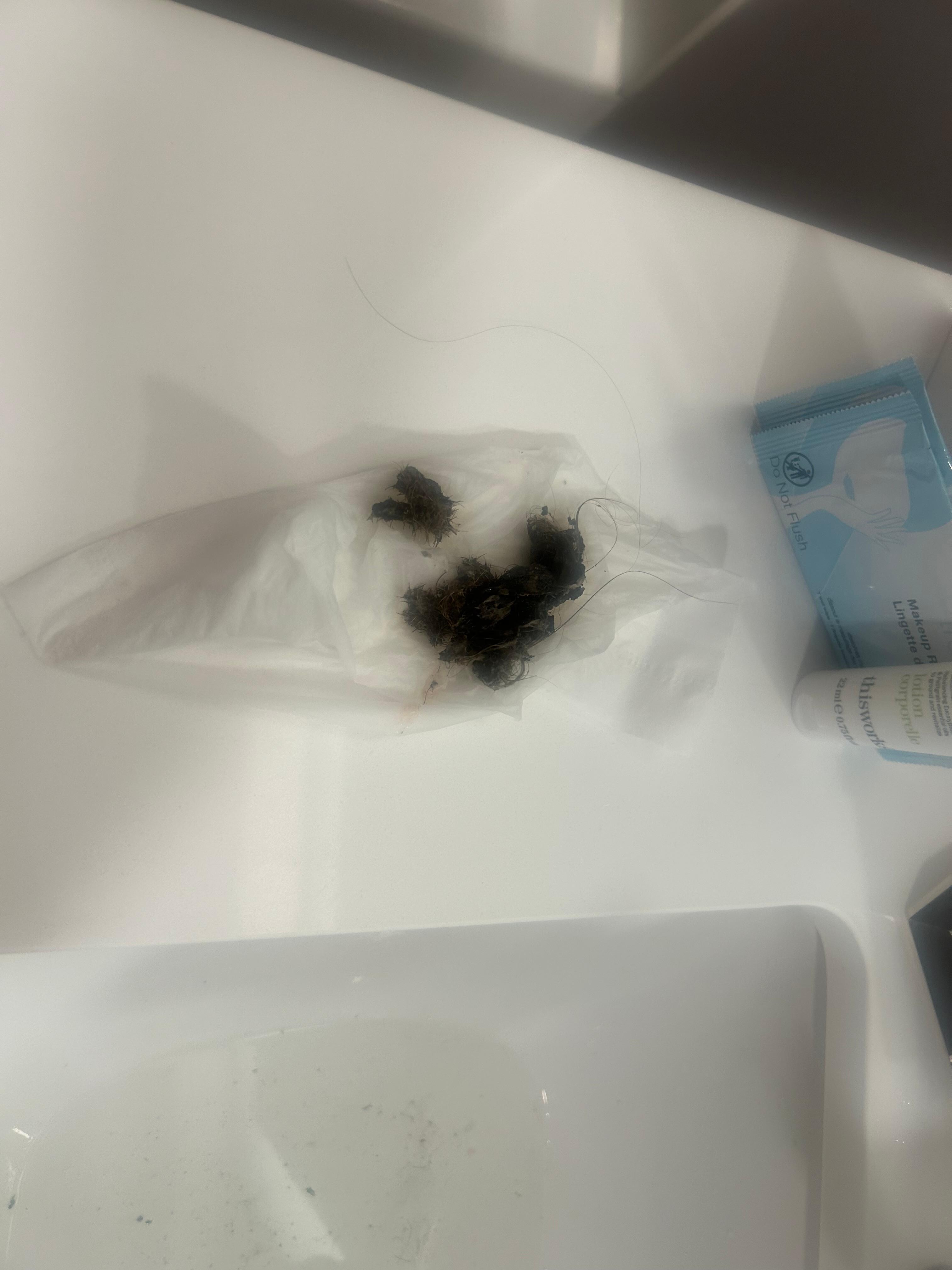 Hair from the drain 