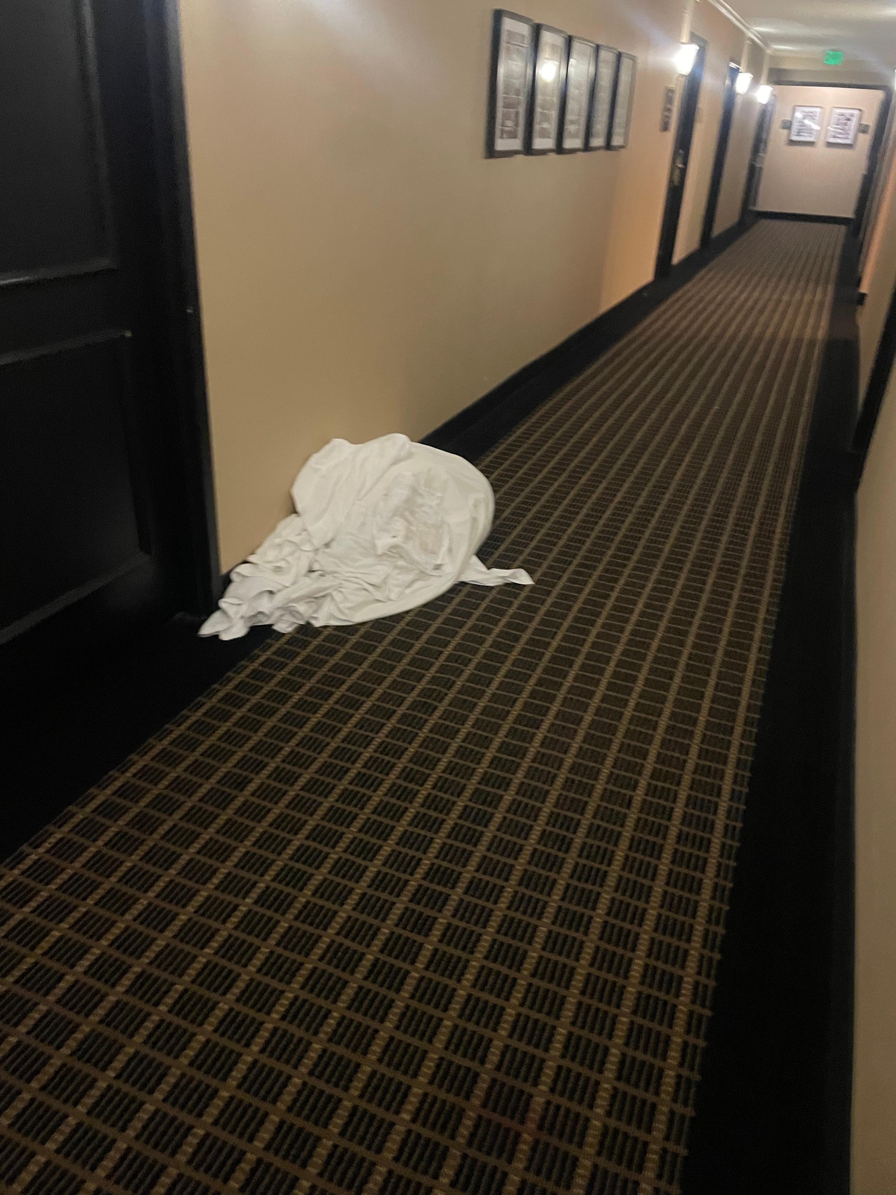 Was in the hallway outside of my room all day.