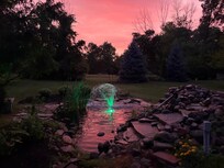 The pond in the back yard.