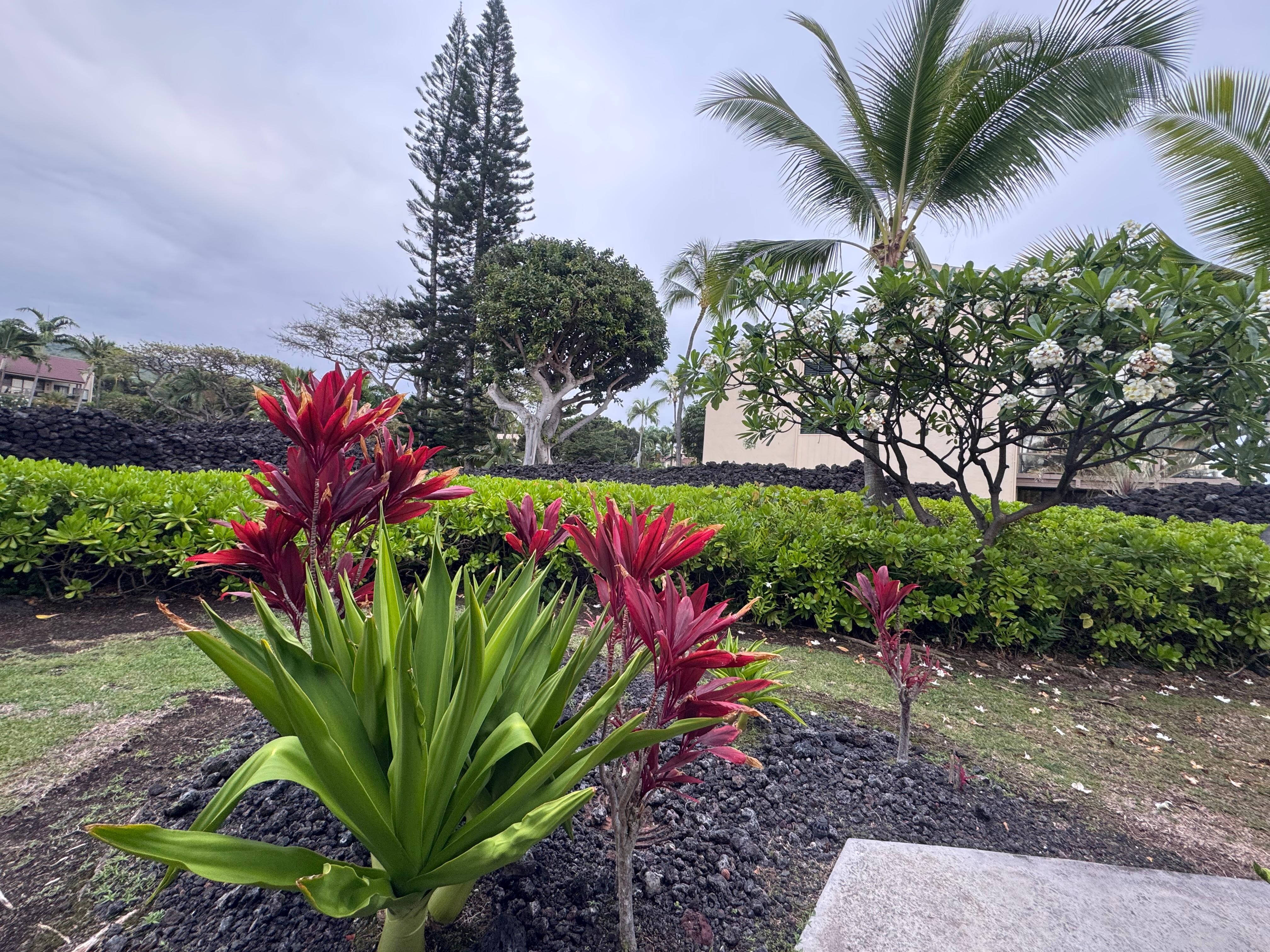 Grounds