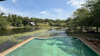 View of the lake and pool from the restaurant