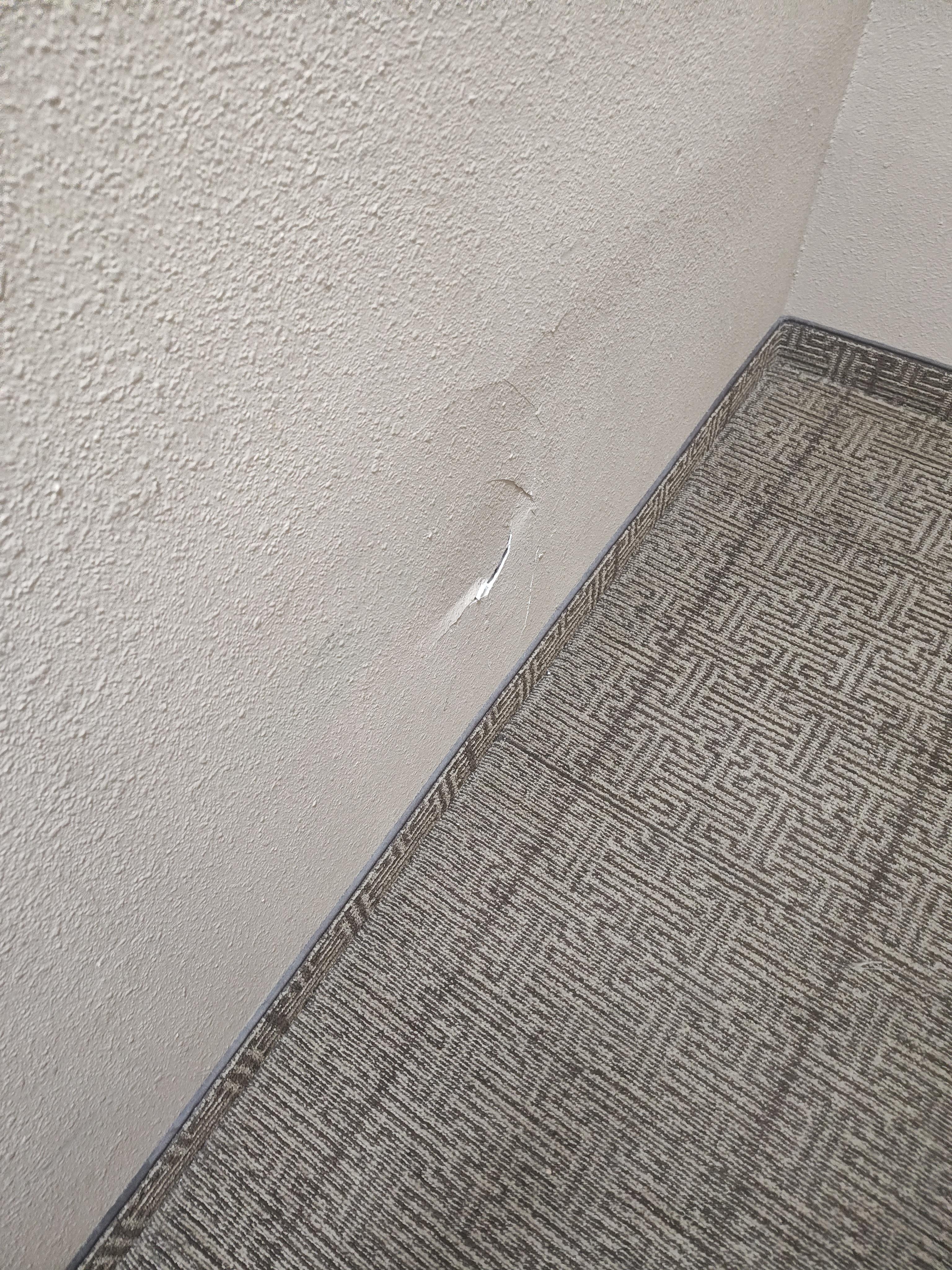 This is just one photo of many