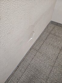 This is just one photo of many