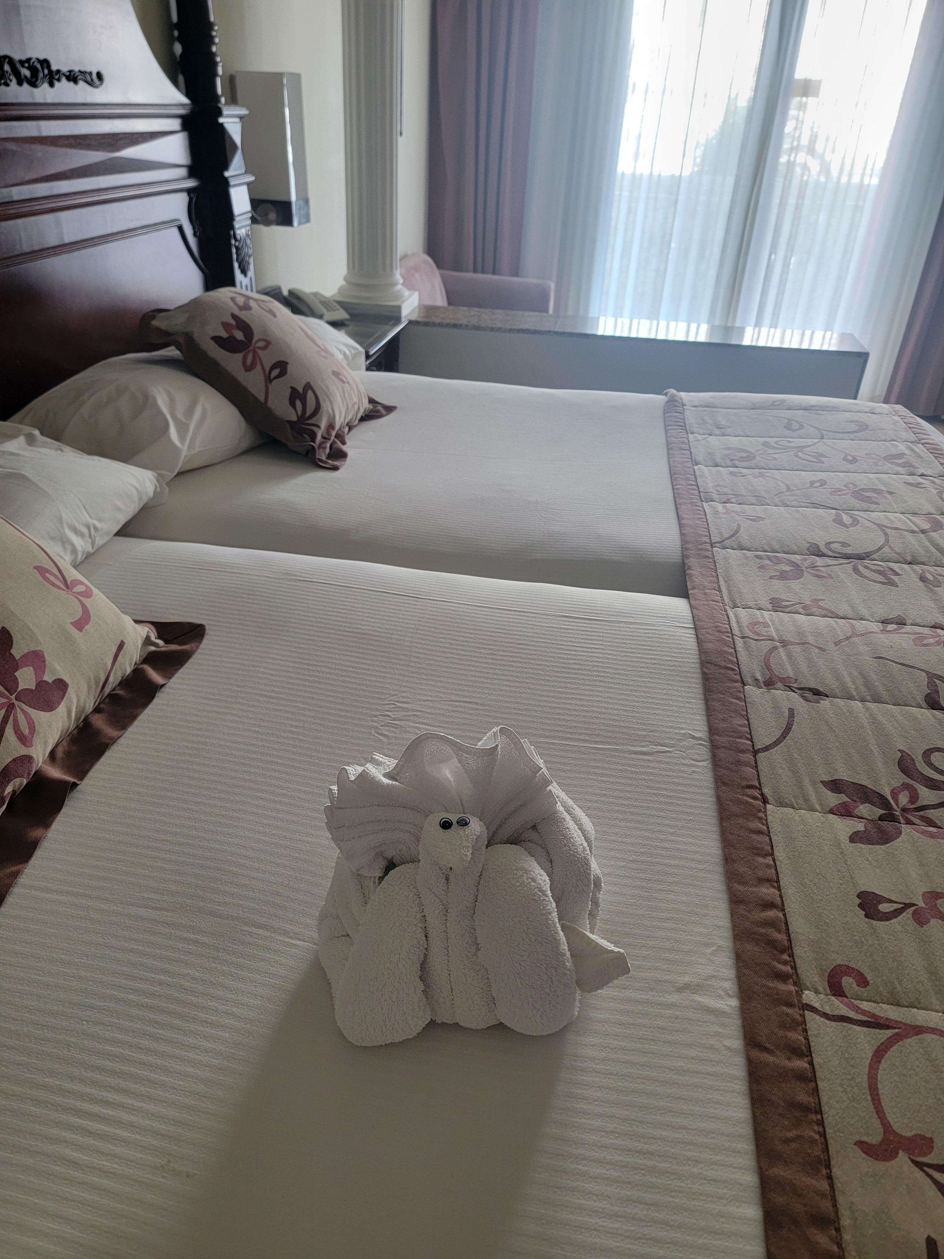 Amazing accommodation 