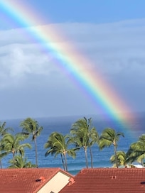 A rainbow every day!