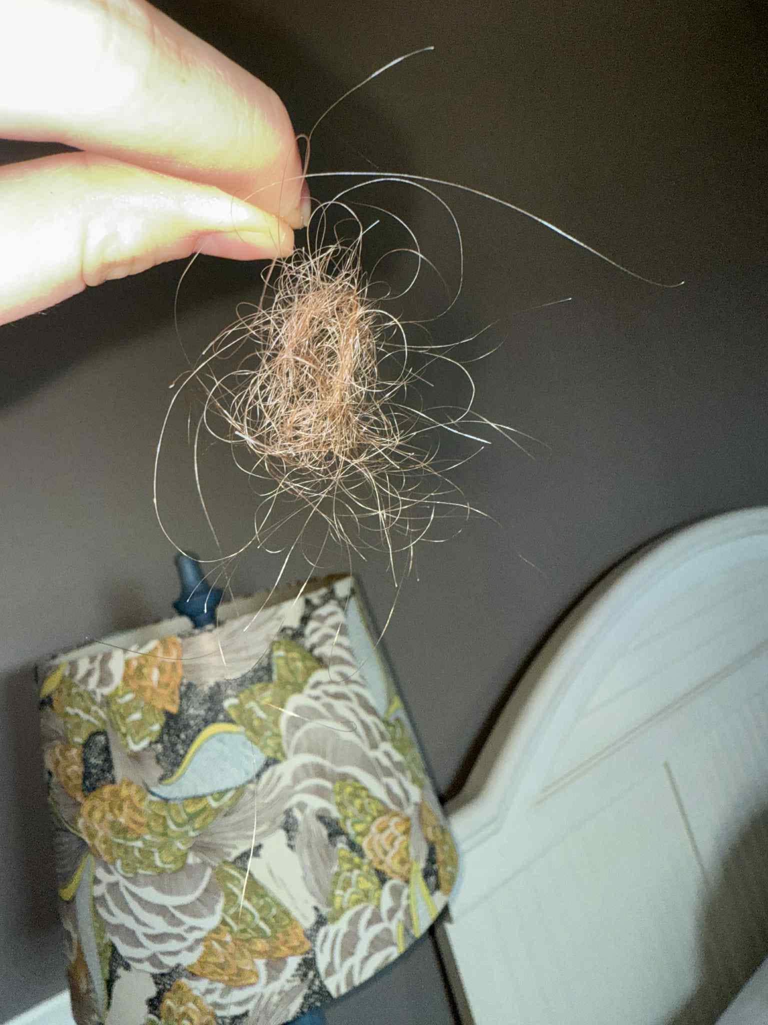 Hairball in my daughter's bed.