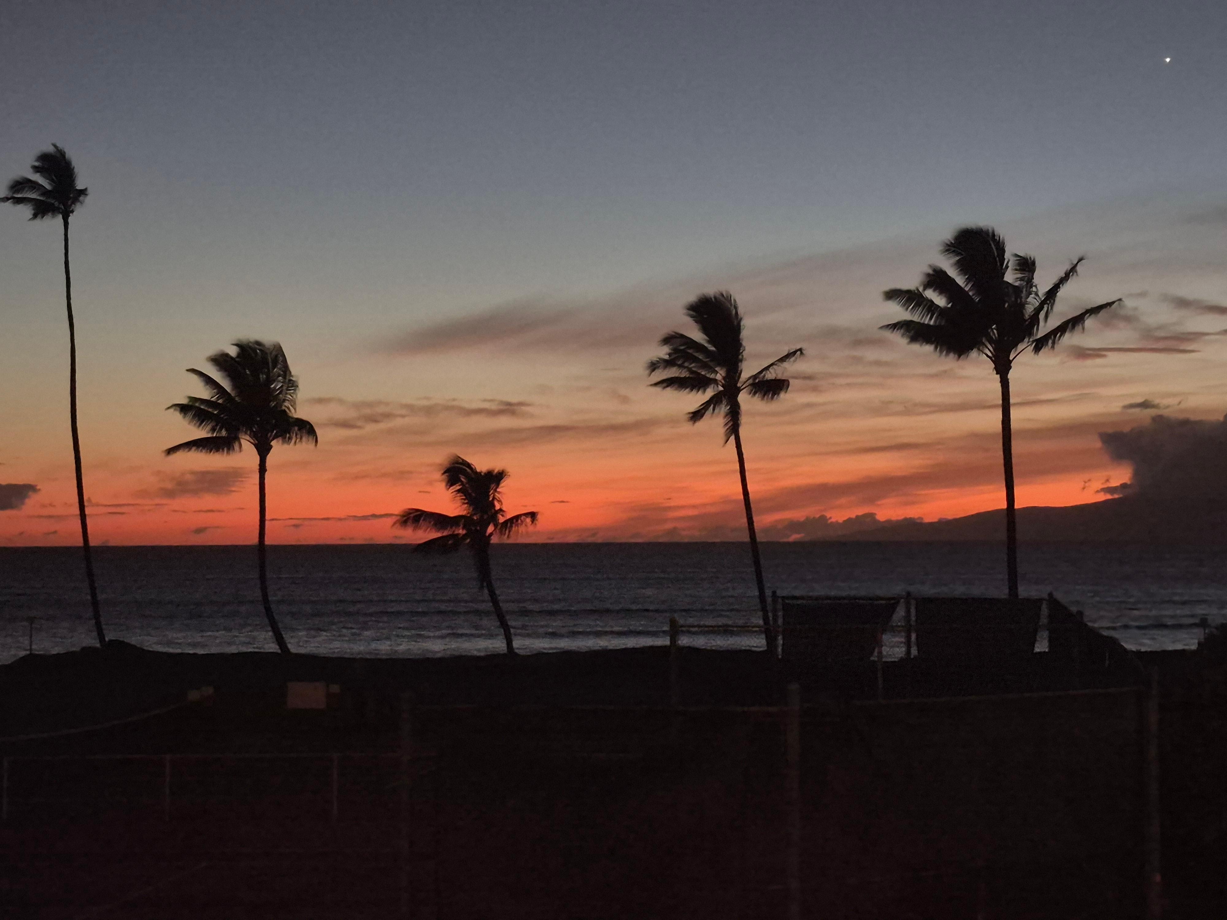 Views from the lanai 