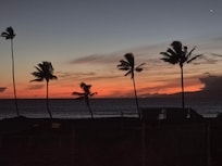 Views from the lanai