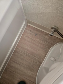 Dirt around the tolet when we first entered the room