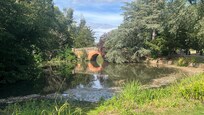 Cannon Hill Park - about 12 months drive out of city. Great space for children and dogs.