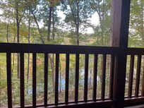 The view from the screened in porch