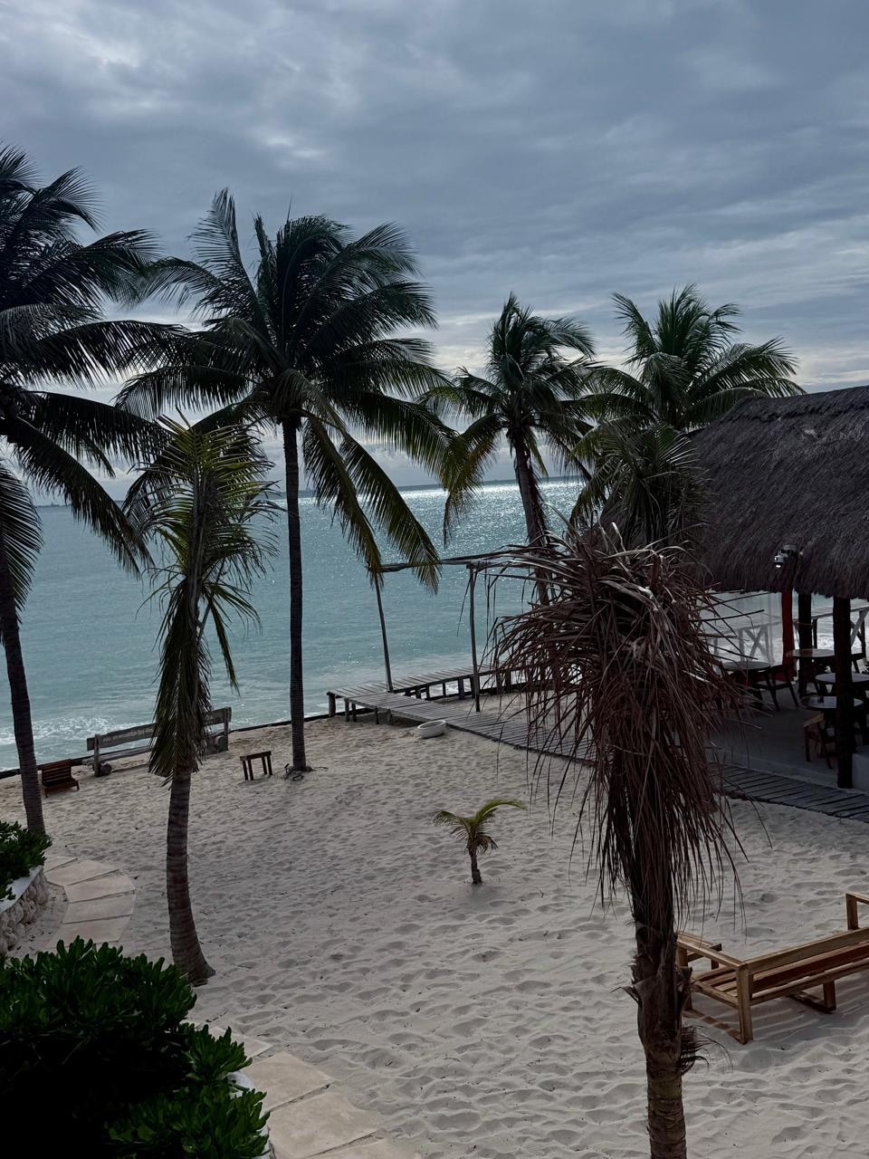 Vista desde la casita 3