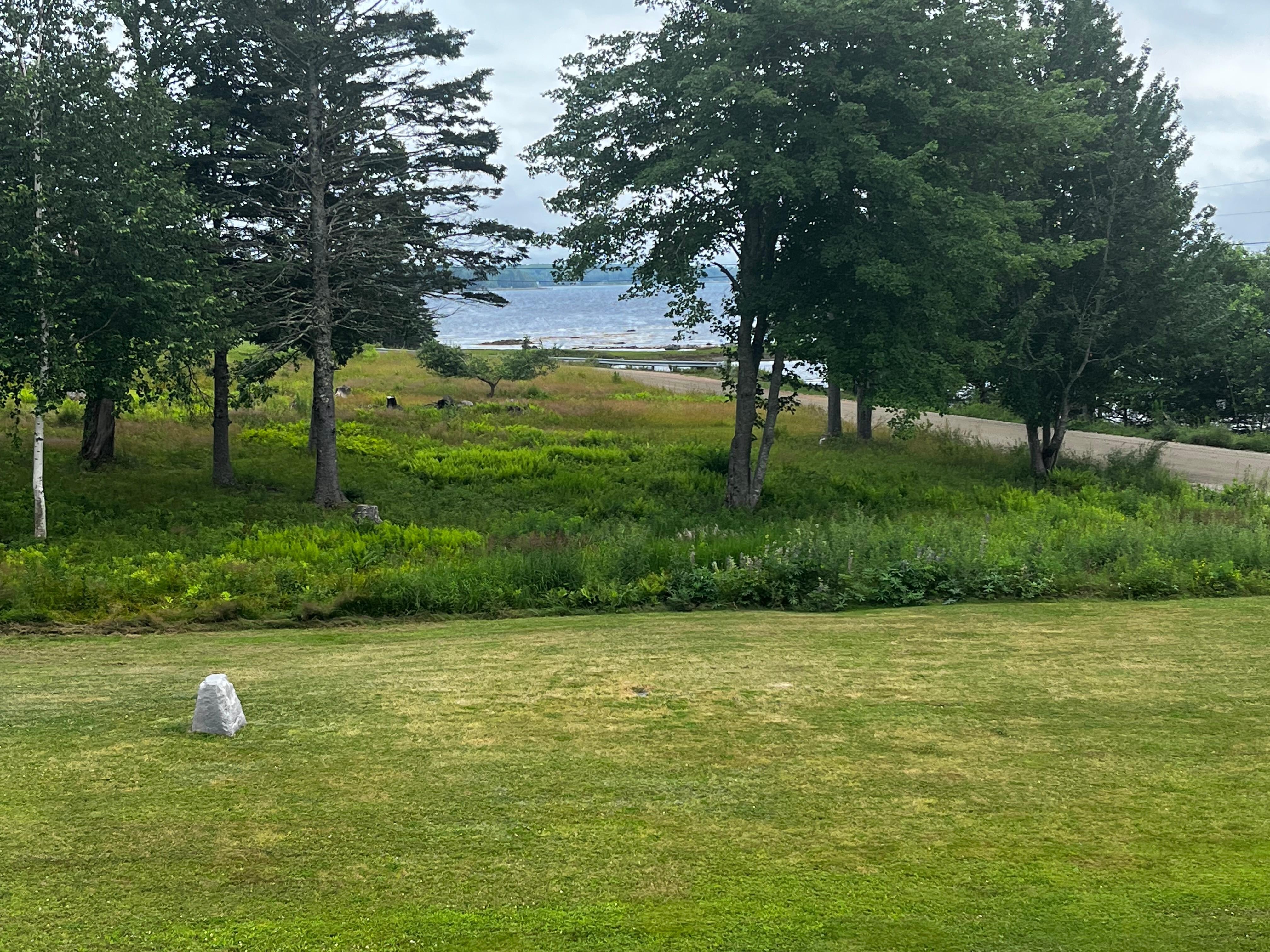 View from the deck
