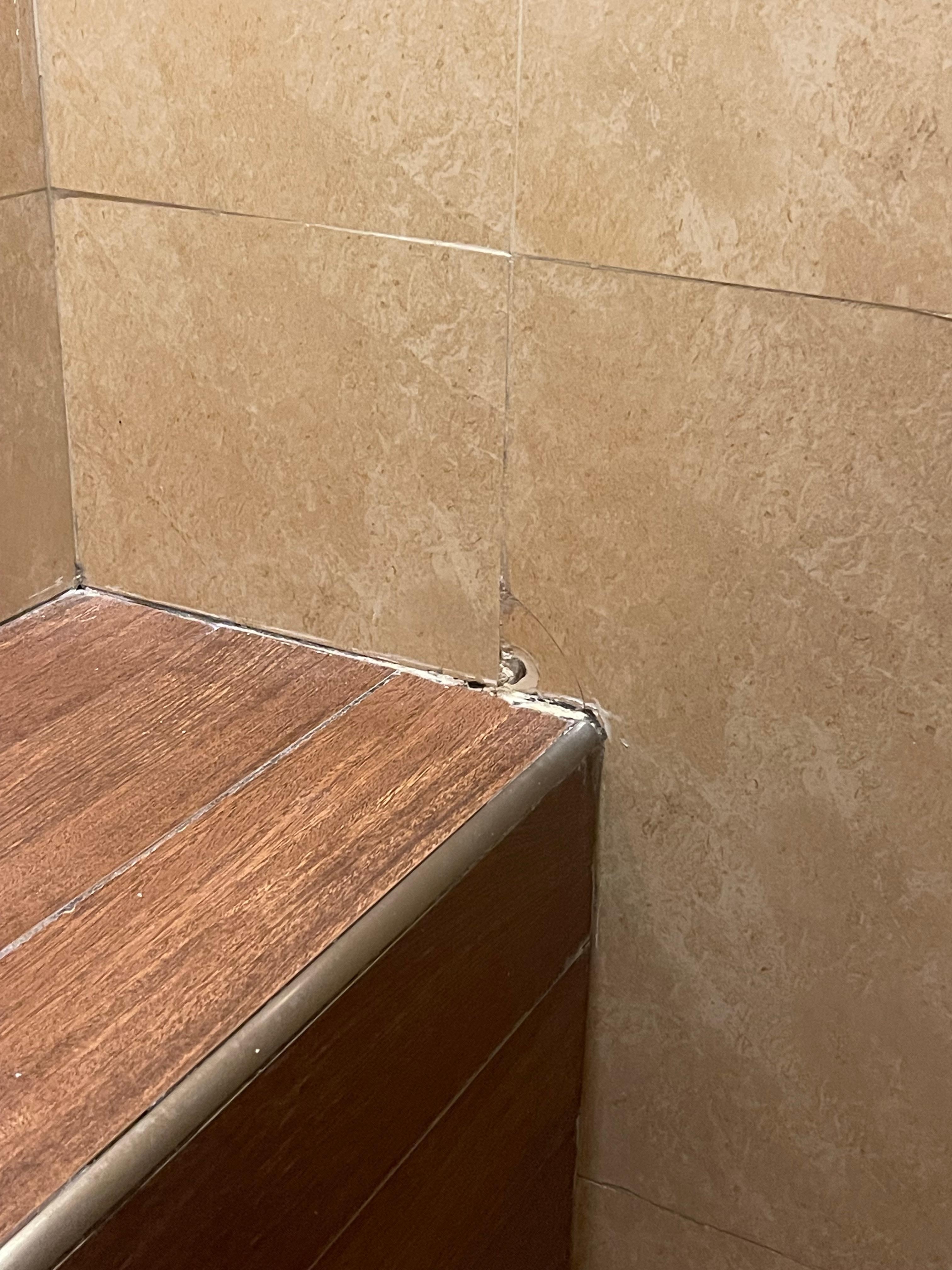 Caulking mold on bathroom shower