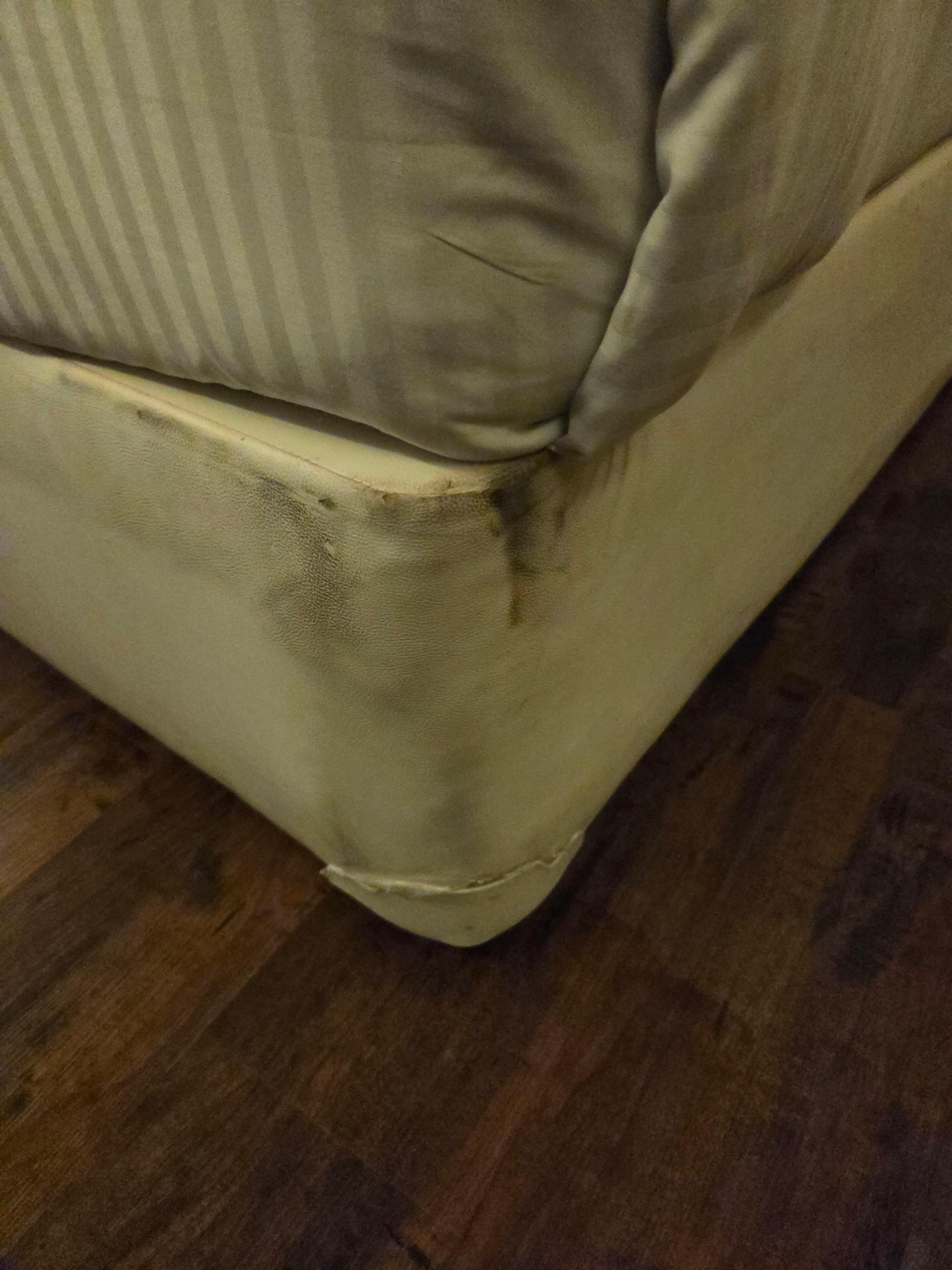 Moldy mattress