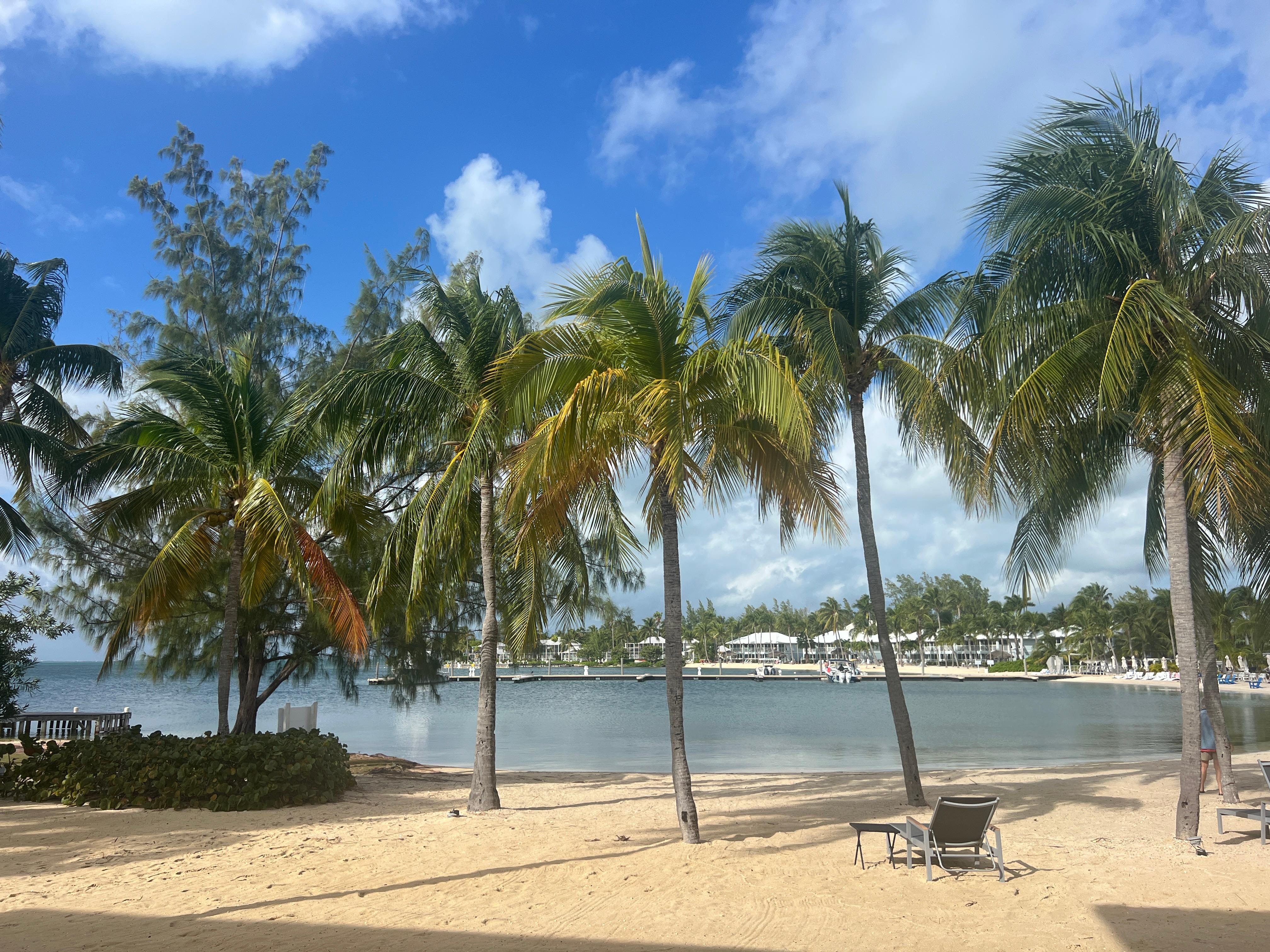 View from the screened porch of the condo