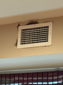 Mold breakfast room