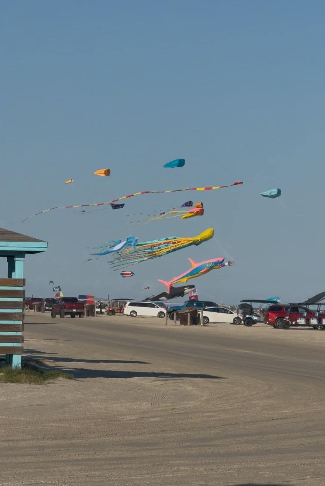 Beautiful day at the beach!