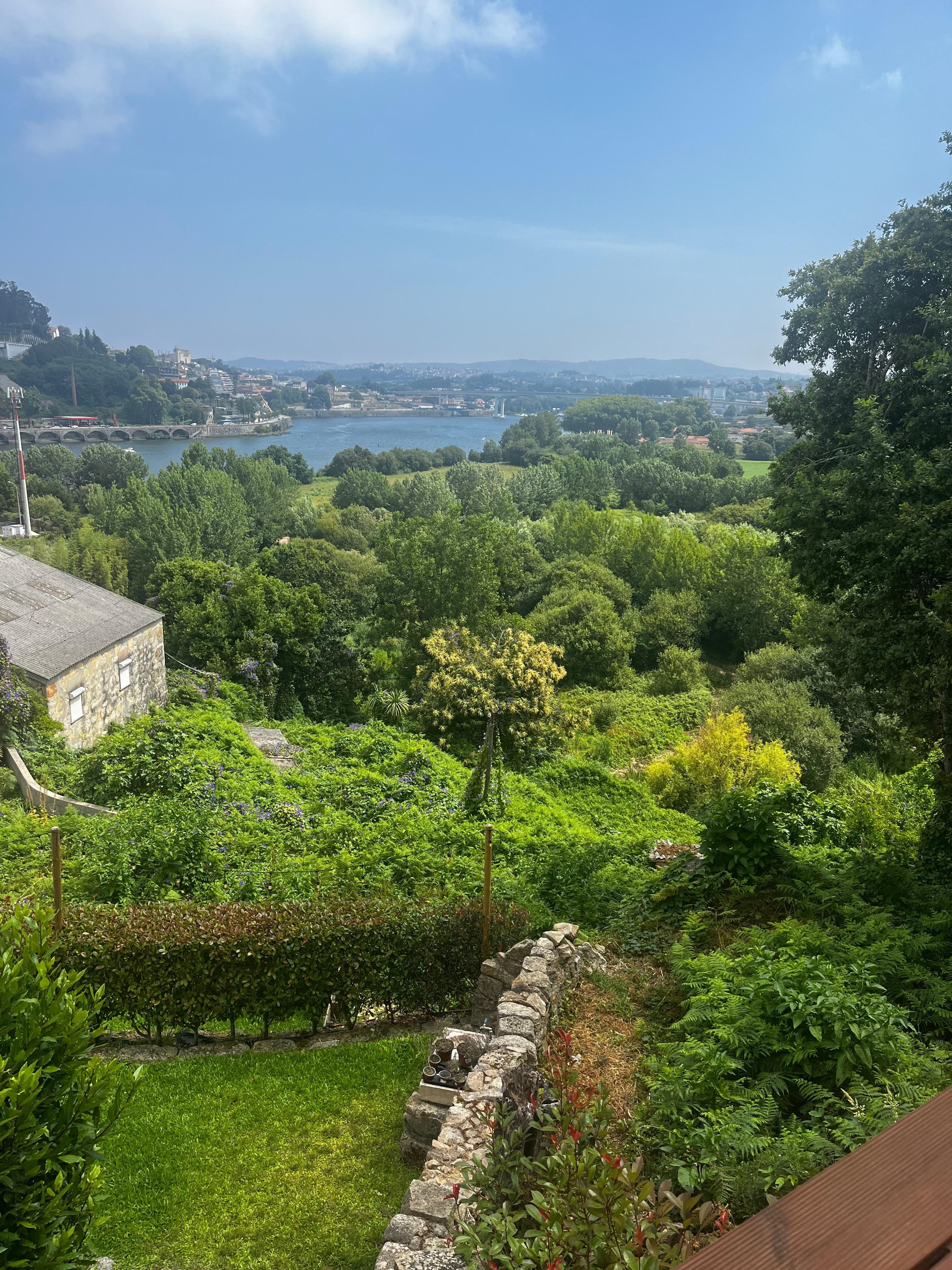 The view from The Lost Garden