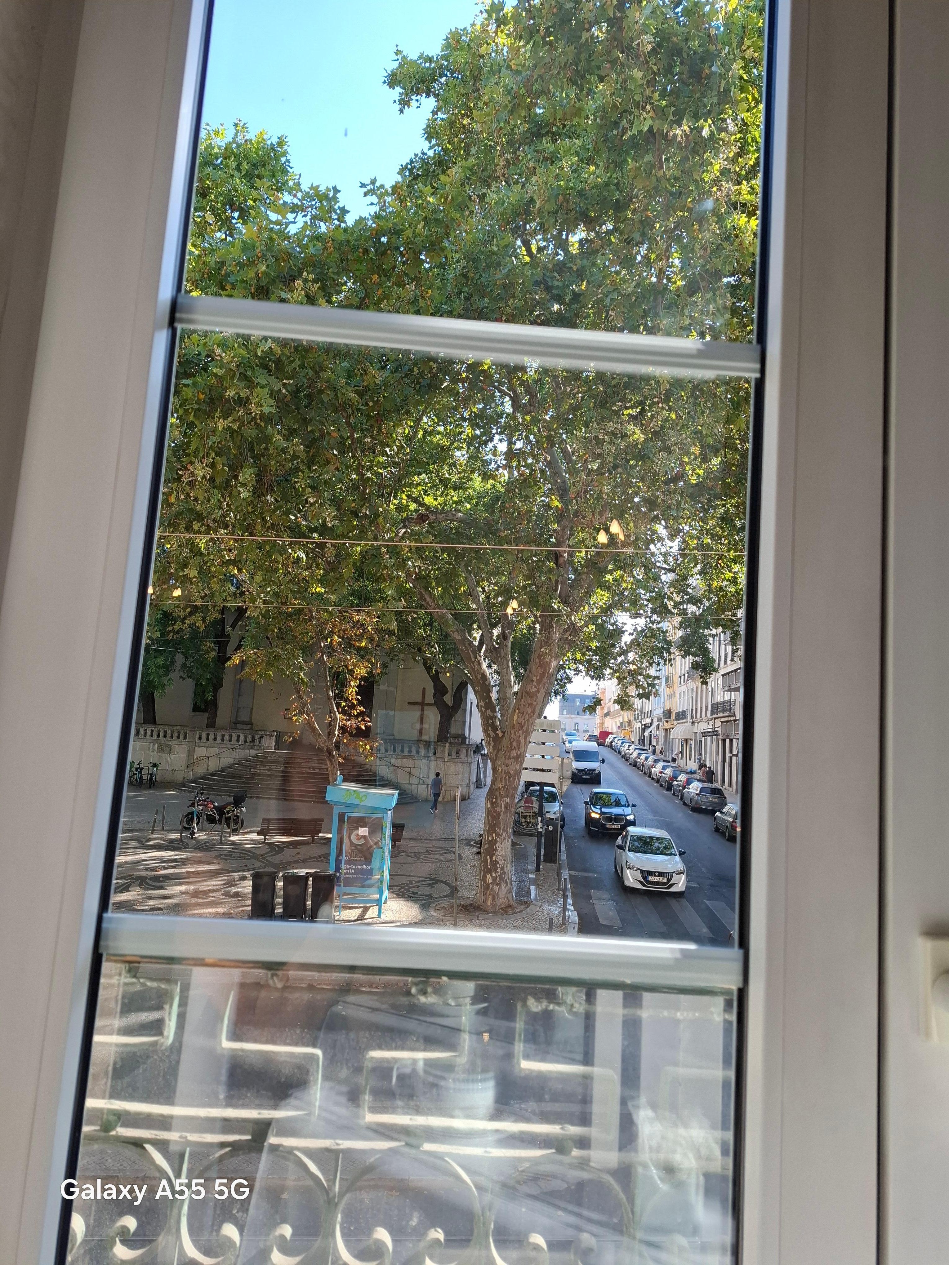 Veiw from breakfast room