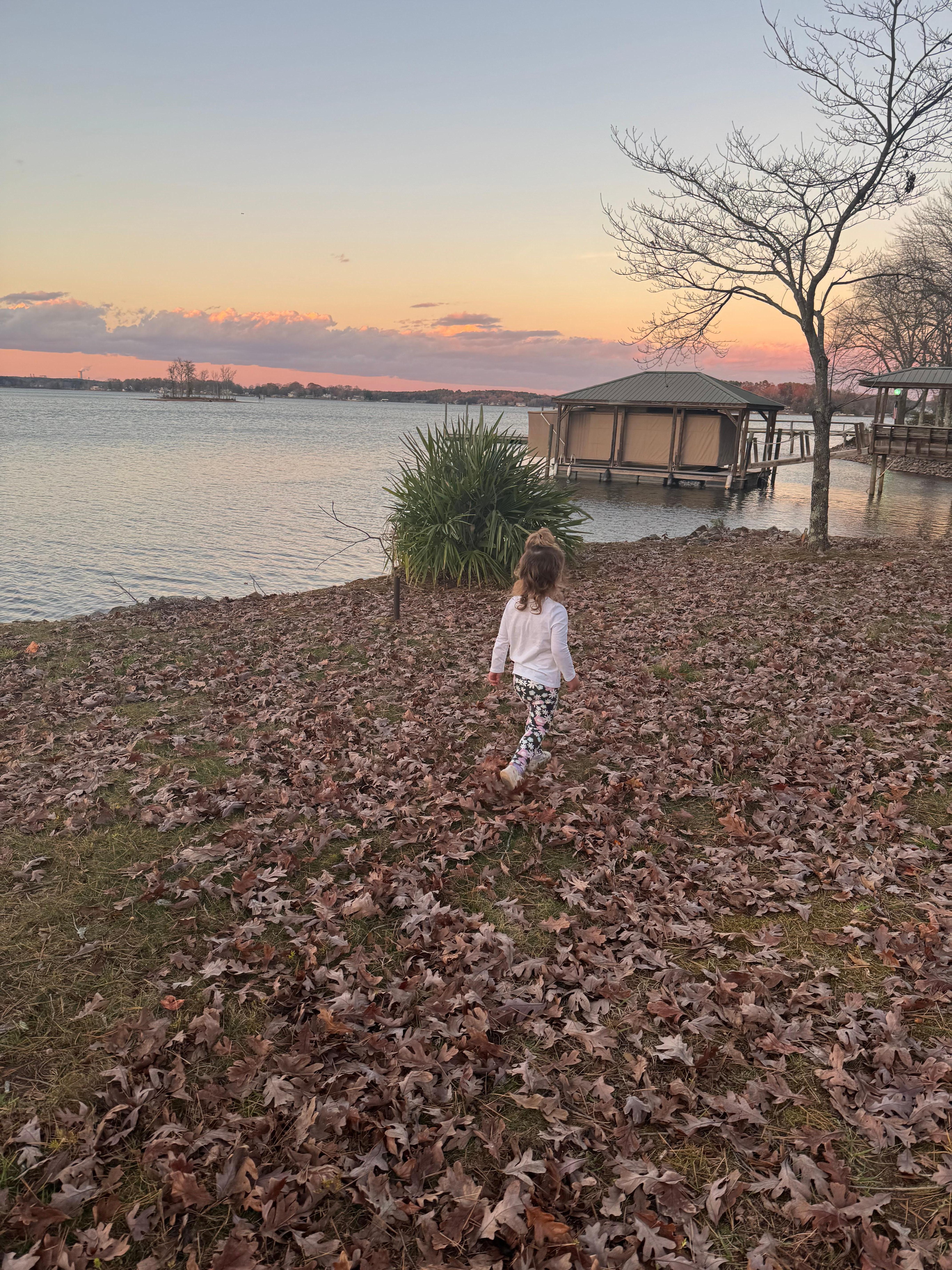Beautiful winter sunset and our sweet granddaughter looking for leaves!  