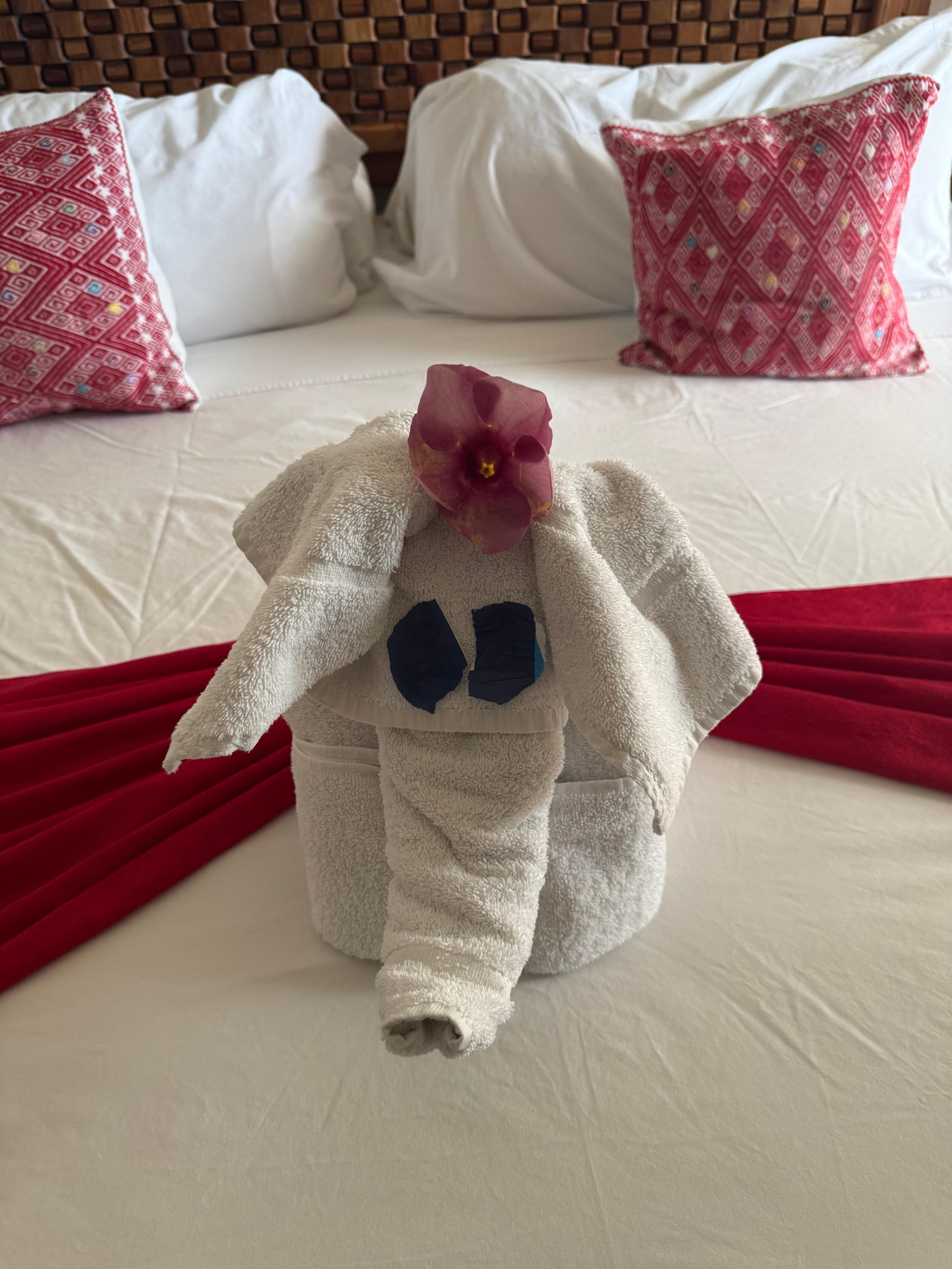 They left lil creatures made from towels. So cute!