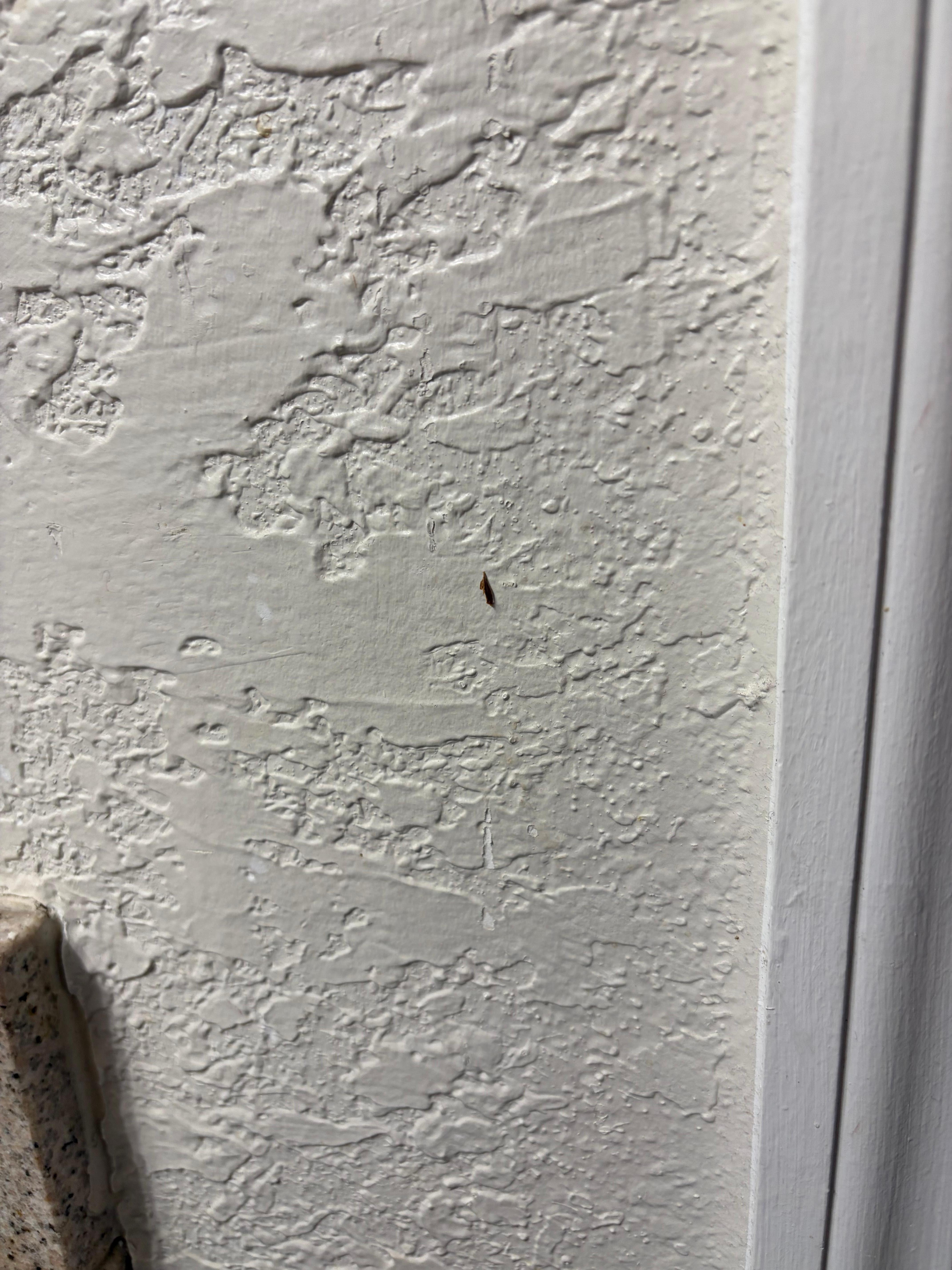 Crusty dirty stuff stuck to the walls