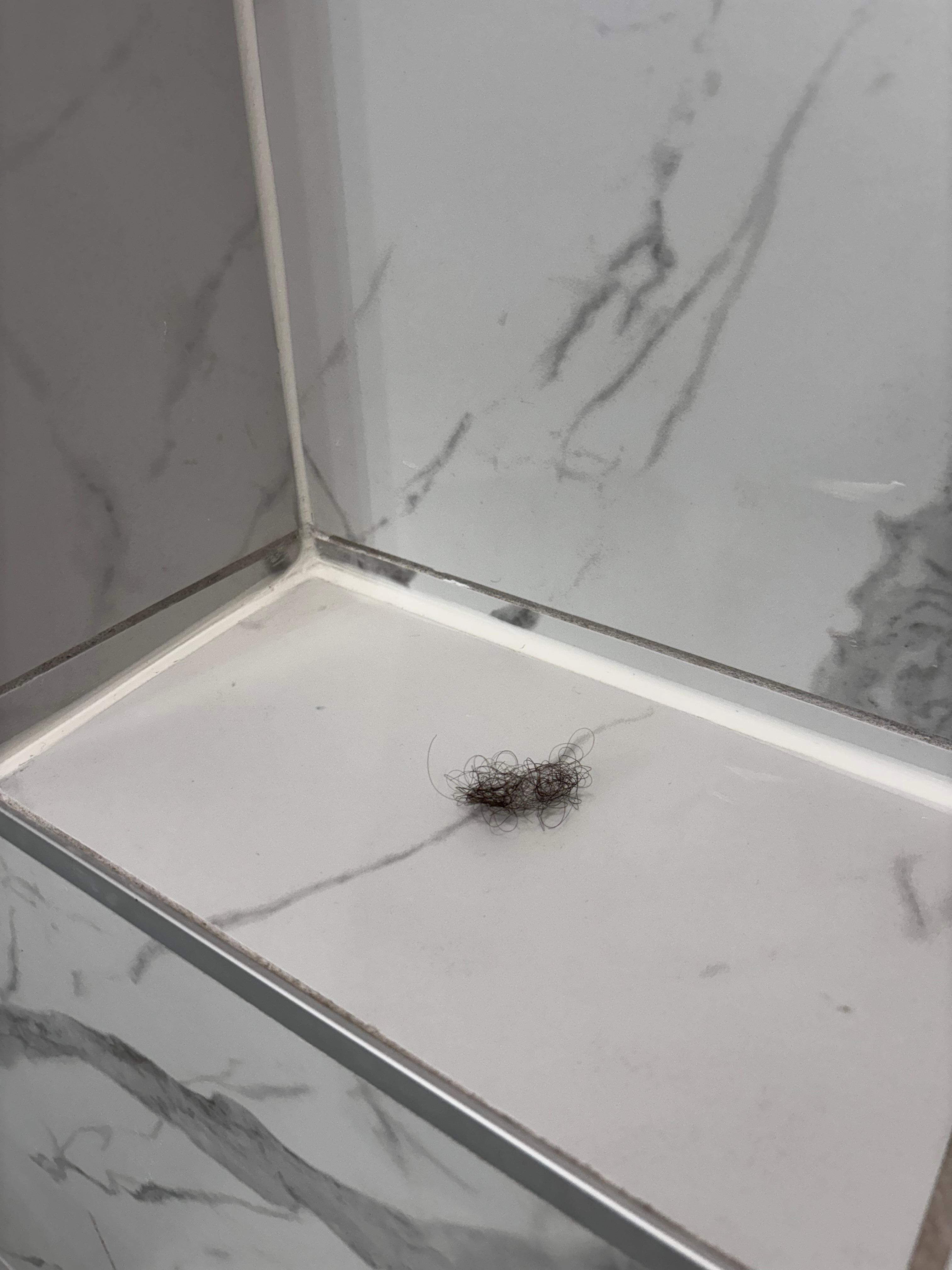 Hair ball