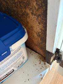 Holz fällt auseinander