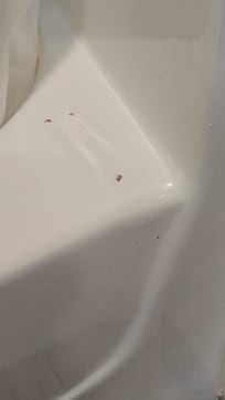 At least the seat looked clean.