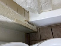 Mold