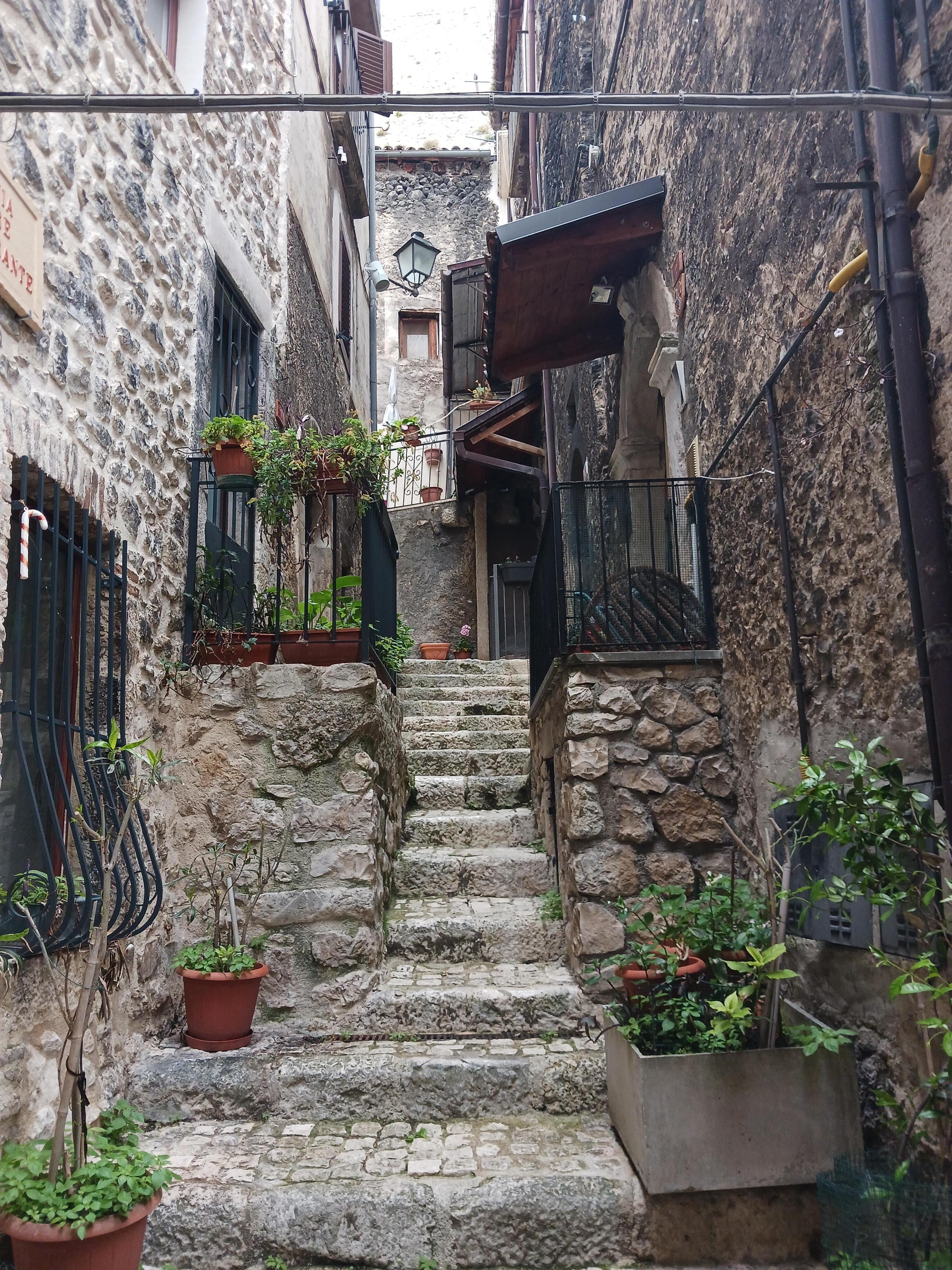 The stair case coming up to the door from the back of the home.