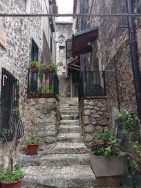 The stair case coming up to the door from the back of the home.