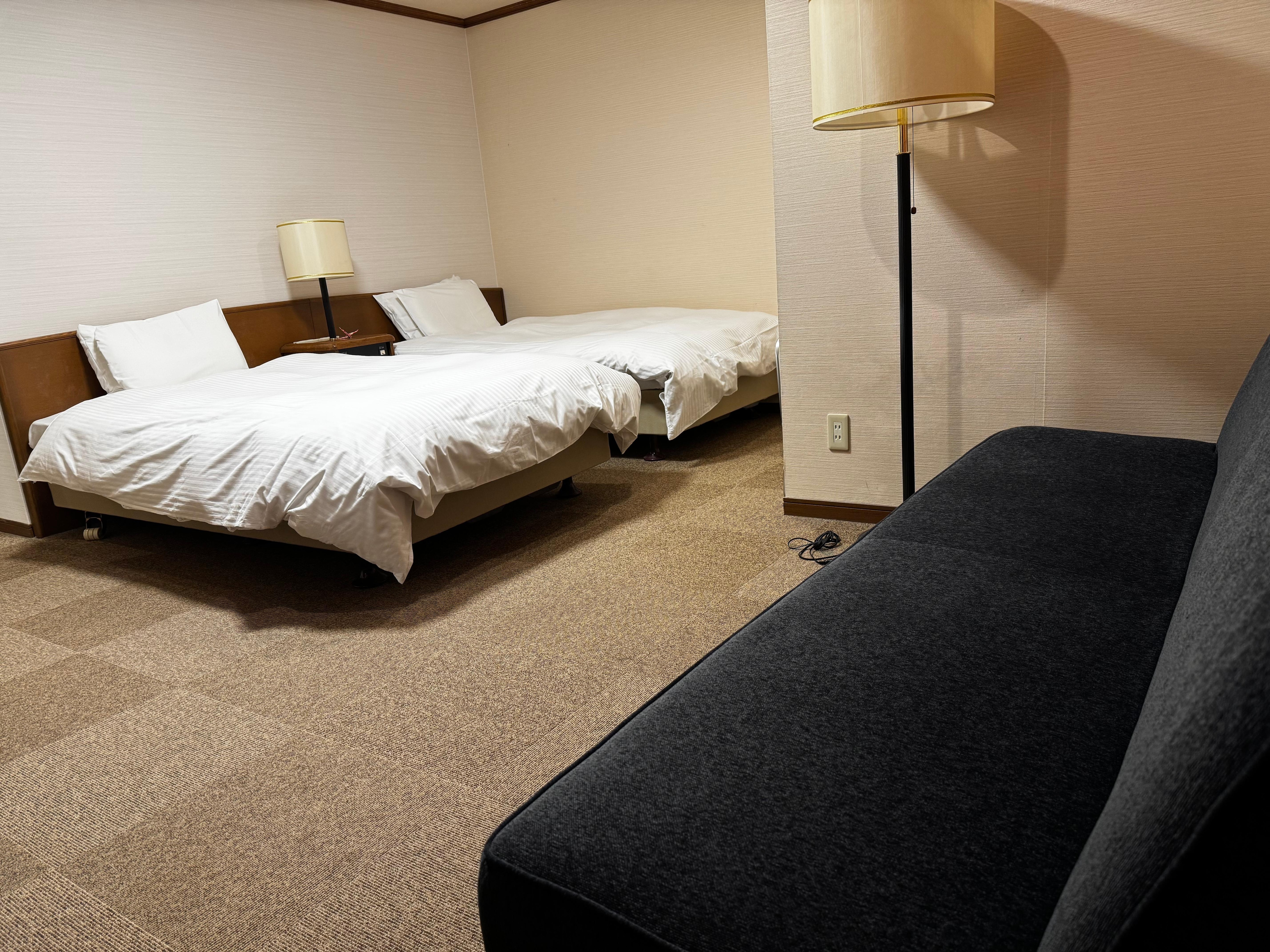 めちゃ広いベッドに大きなソファー