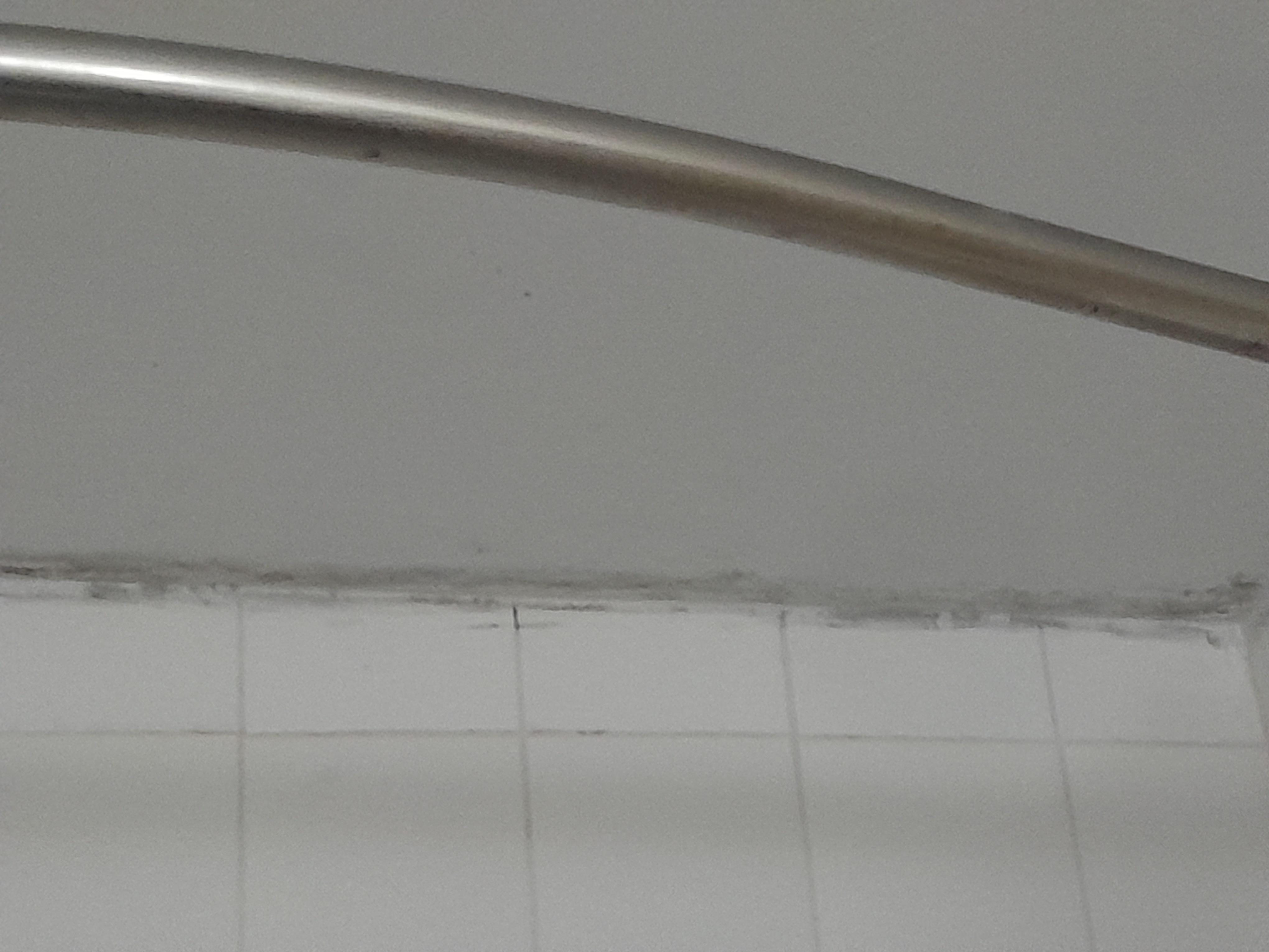some sort of mold 
