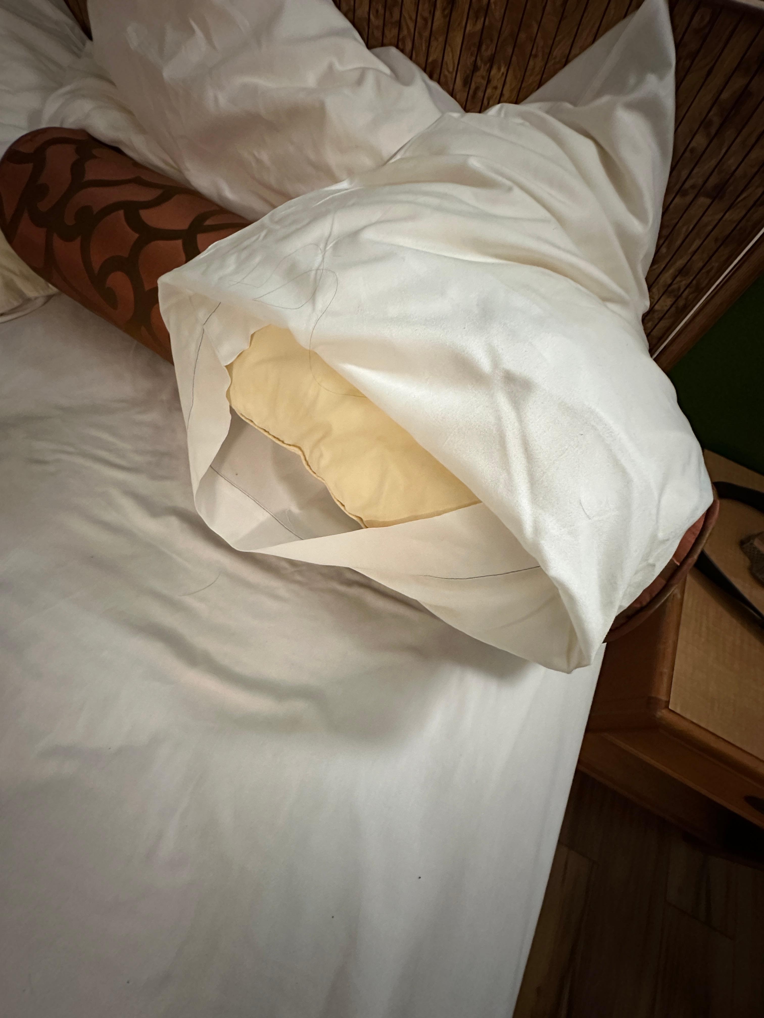 disgusting pillows