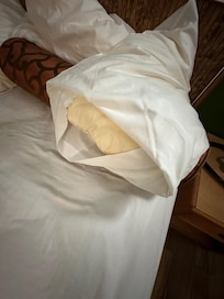 disgusting pillows