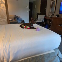 My own bed mom??