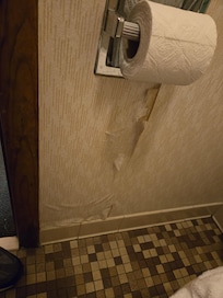 Wall paper peeling everywhere - 1 ply toilet paper and only 1 roll