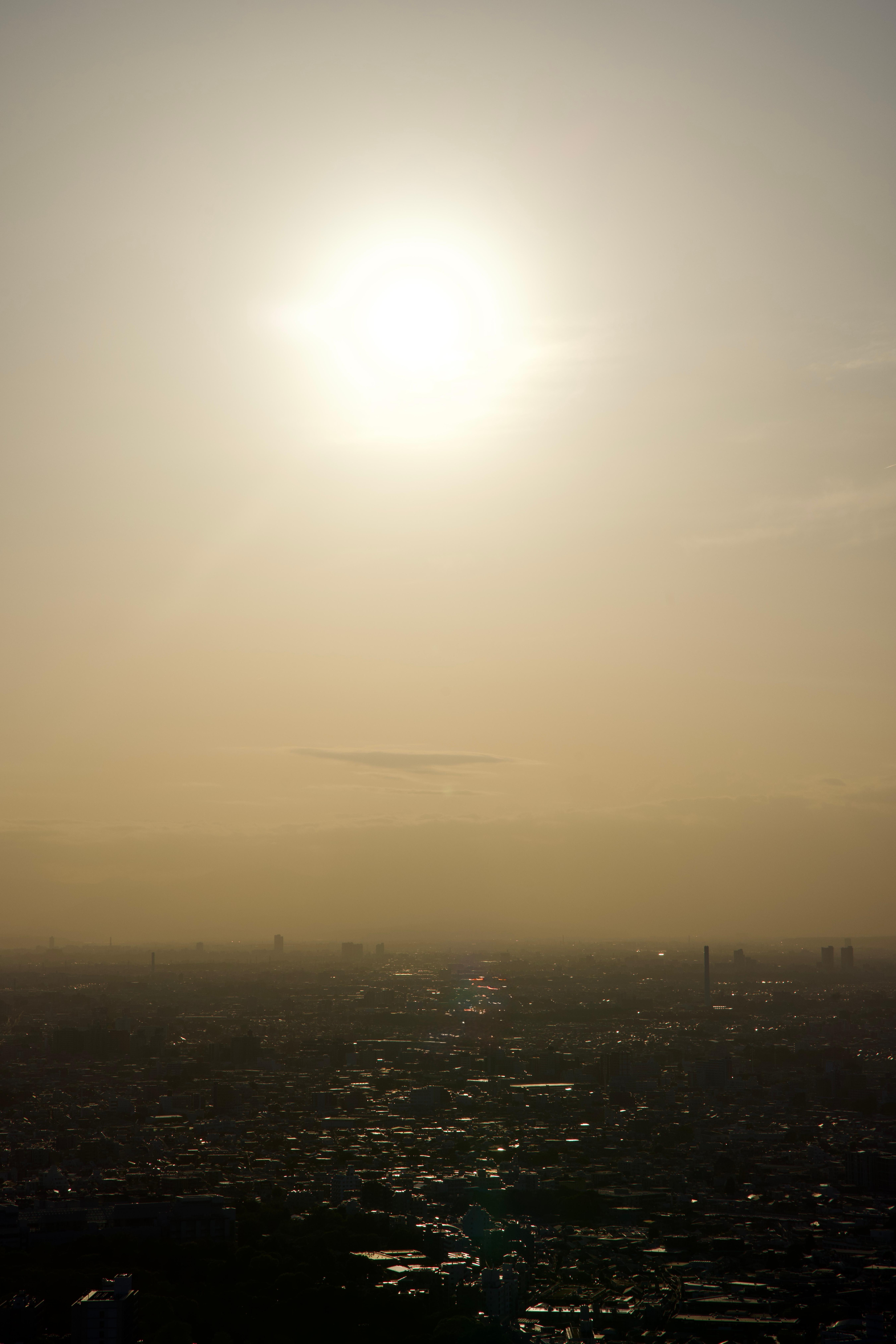 View from Shibuya Sky Tree