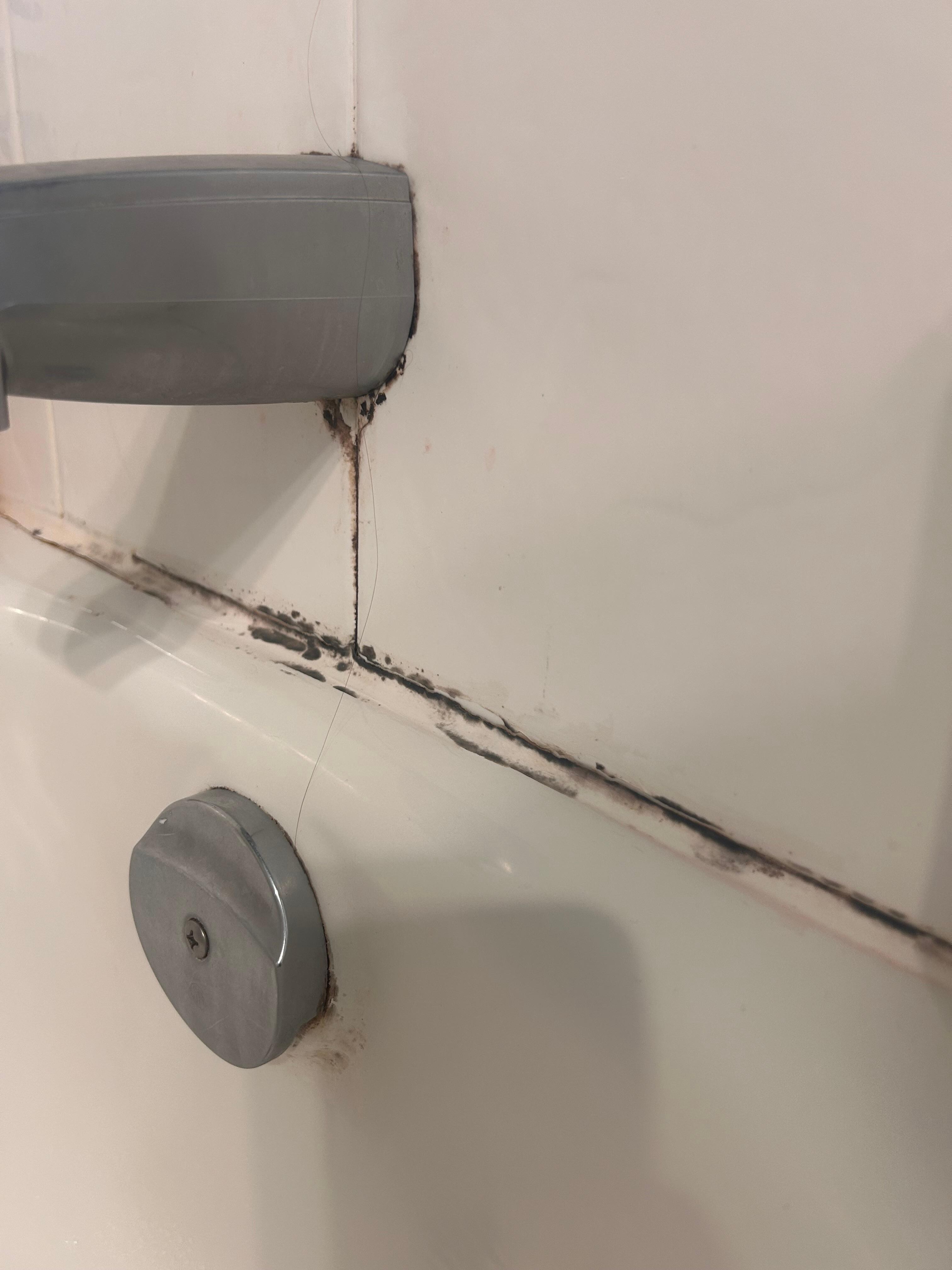 Moldy shower up close