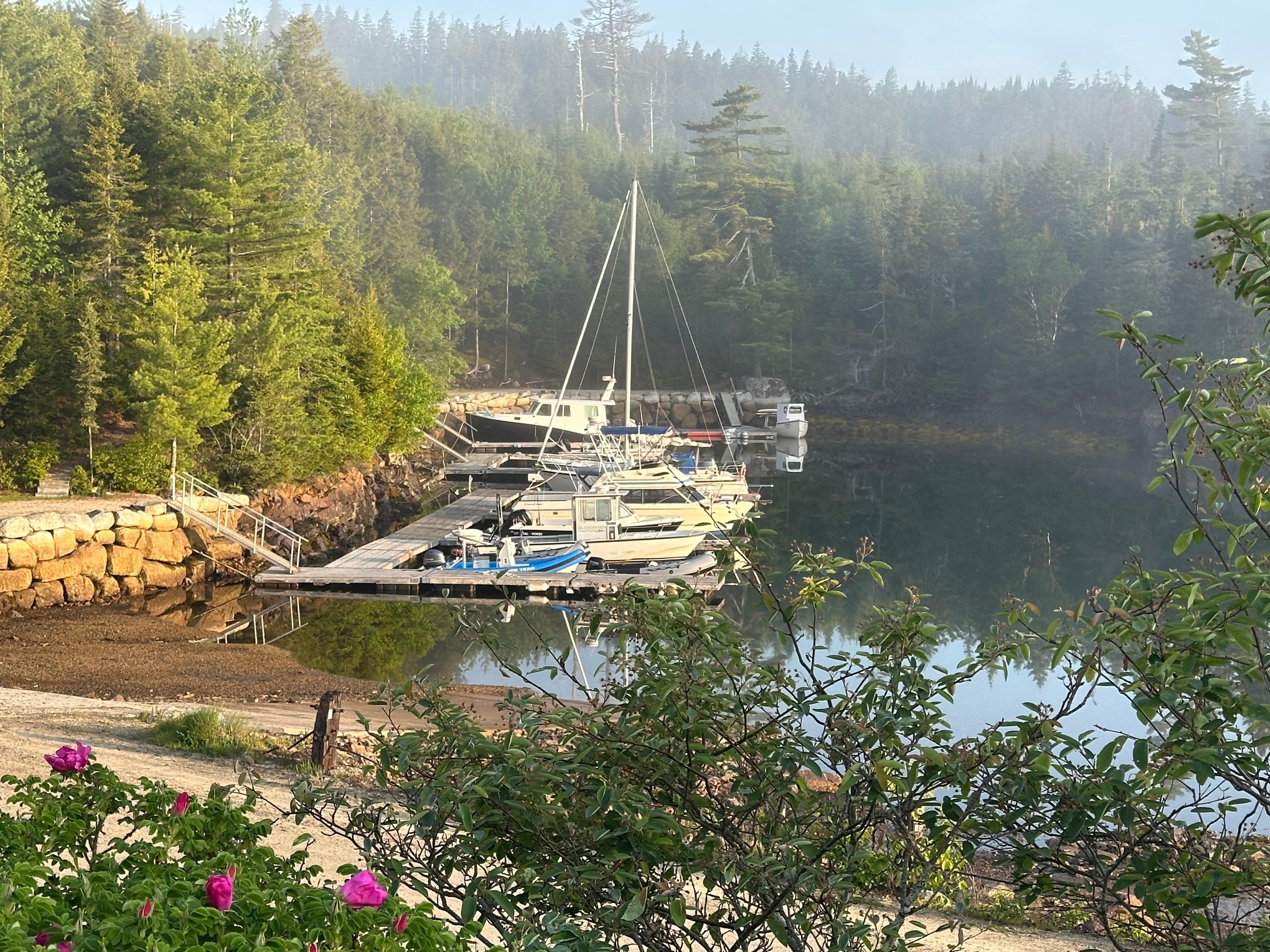 Deep Cove
