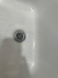 Bugs in tub