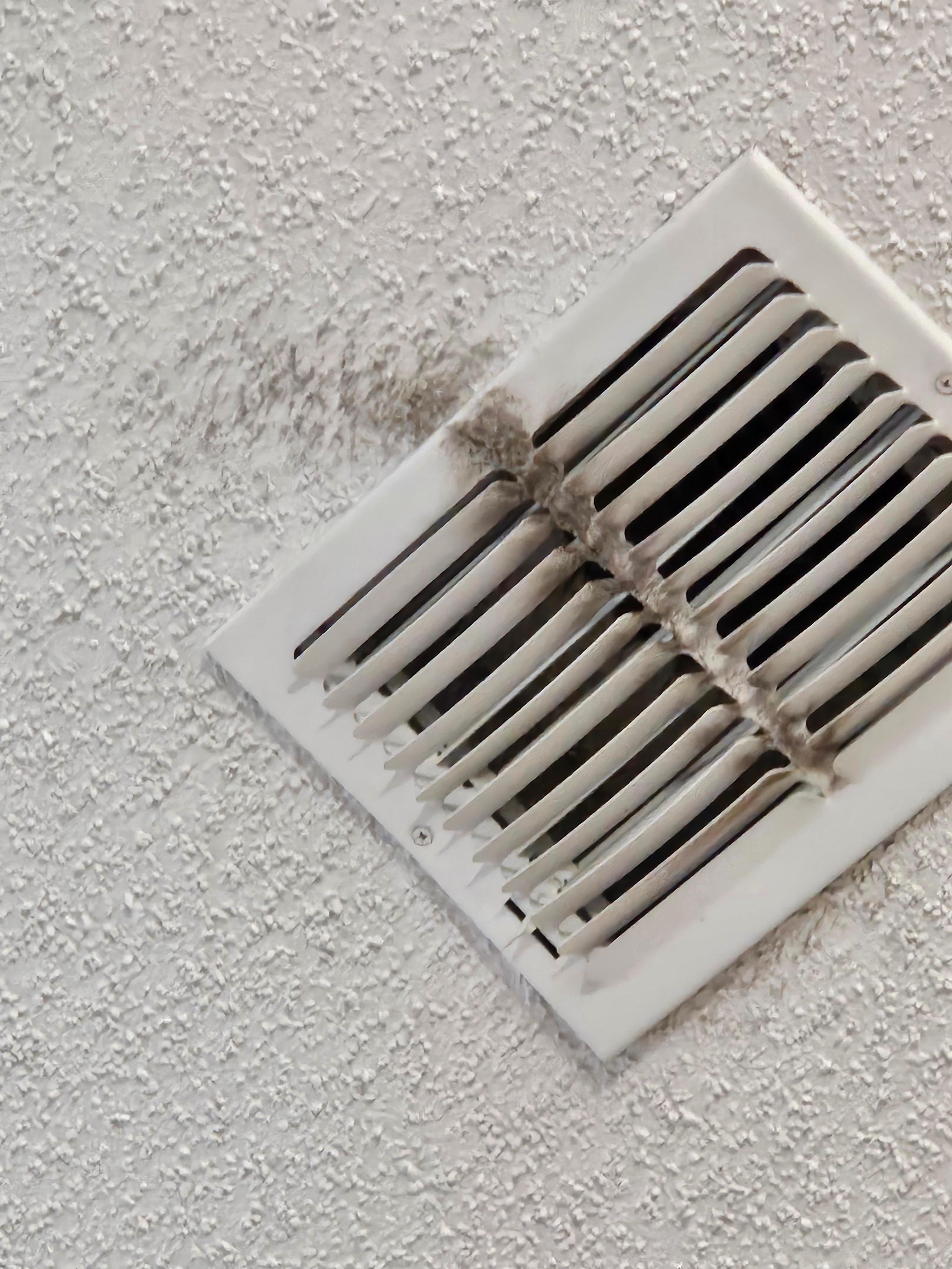 One of the many vents 