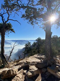 The Grand Canyon Rim os only 50-100 yards away