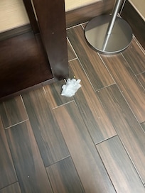 Random dirty glove in hallway
