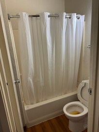 Checked in a dirty room