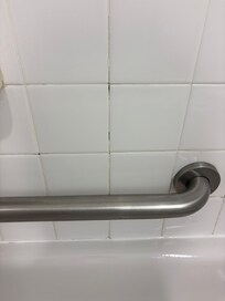 Tile filth on the tile. You can see it