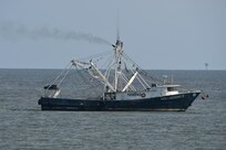 Shrimp boat