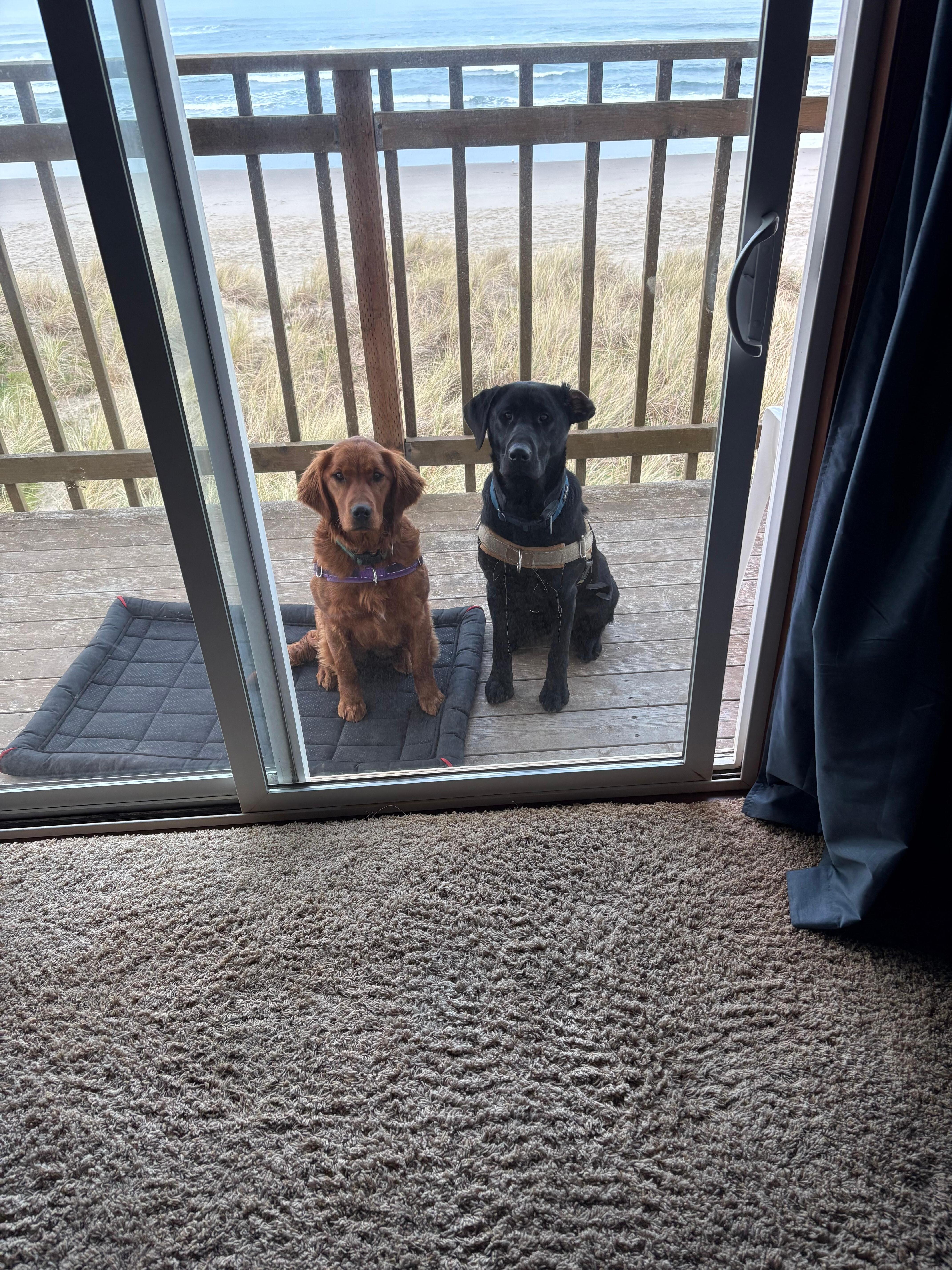 Pup view from master bedroom.